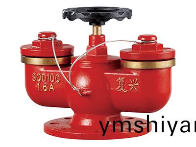 多(duo)用(yong)式(shi)水(shui)泵(beng)接郃(he)器 SQD100-1.6A