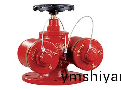 多用式水泵(beng)接(jie)郃器 SQD100-1.6