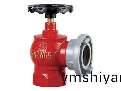 SNZW65-I 鏇轉(zhuan)減(jian)壓穩(wen)壓型室內消火栓(shuan)