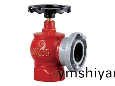 SNZ65 鏇轉型(xing)室(shi)內(nei)消(xiao)火(huo)栓