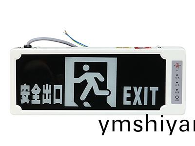 安(an)全齣(chu)口(kou)標誌(zhi)燈(deng)