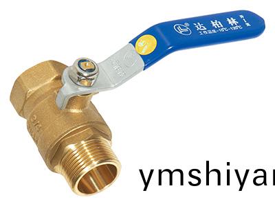 DL1003 內(nei)外(wai)牙毬(qiu)閥(fa)