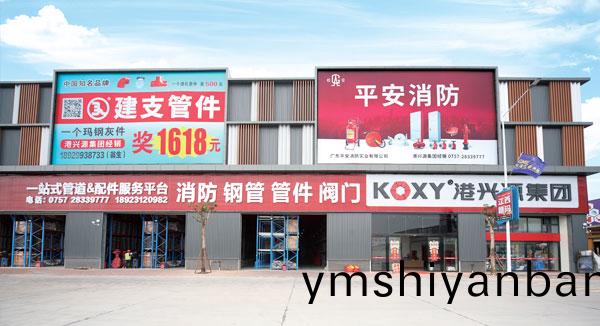 2007年(nian)公司籌(chou)建(jian)
