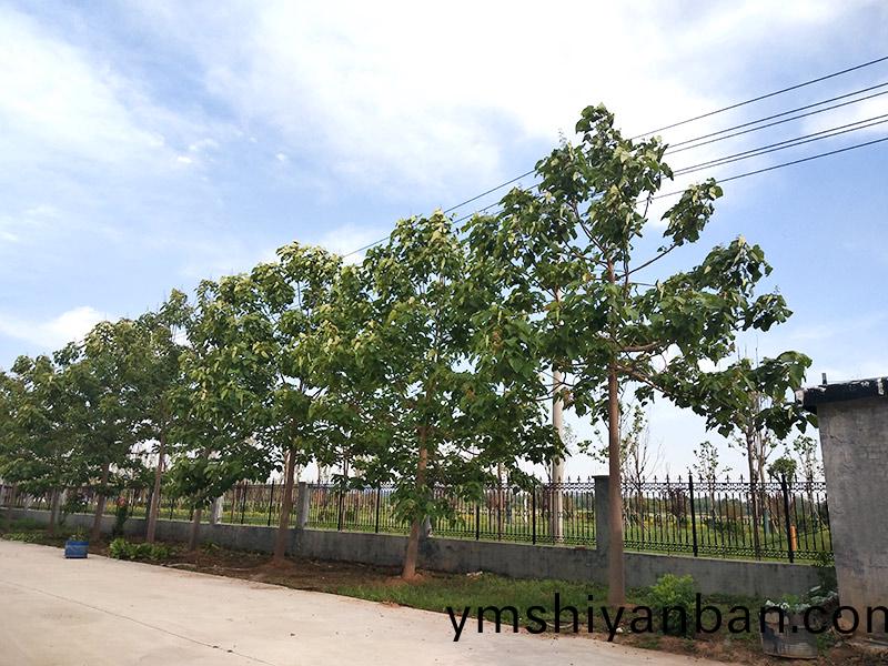 濟寧(ning)市大氣環境質量2015年12月份(fen)13縣市區排名