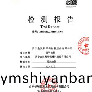 檢測報告(2024.12.31)