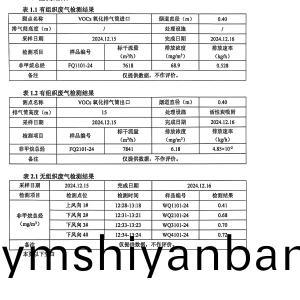 檢測報告(gao)(2024.12.31)