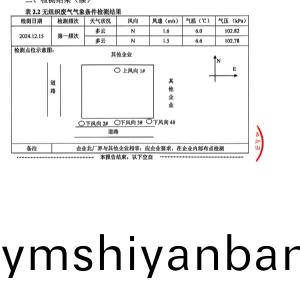 檢測報告(2024.12.31)
